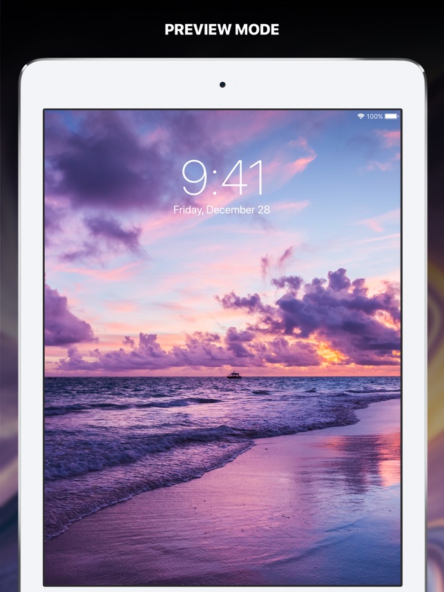 Wallpaper - HD Wallpaper 