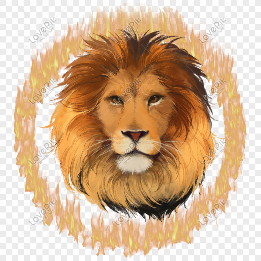 Singa Api Lingkaran Binatang Buas Elemen Sirkus Yang - Wildlife Heritage Foundation - HD Wallpaper 