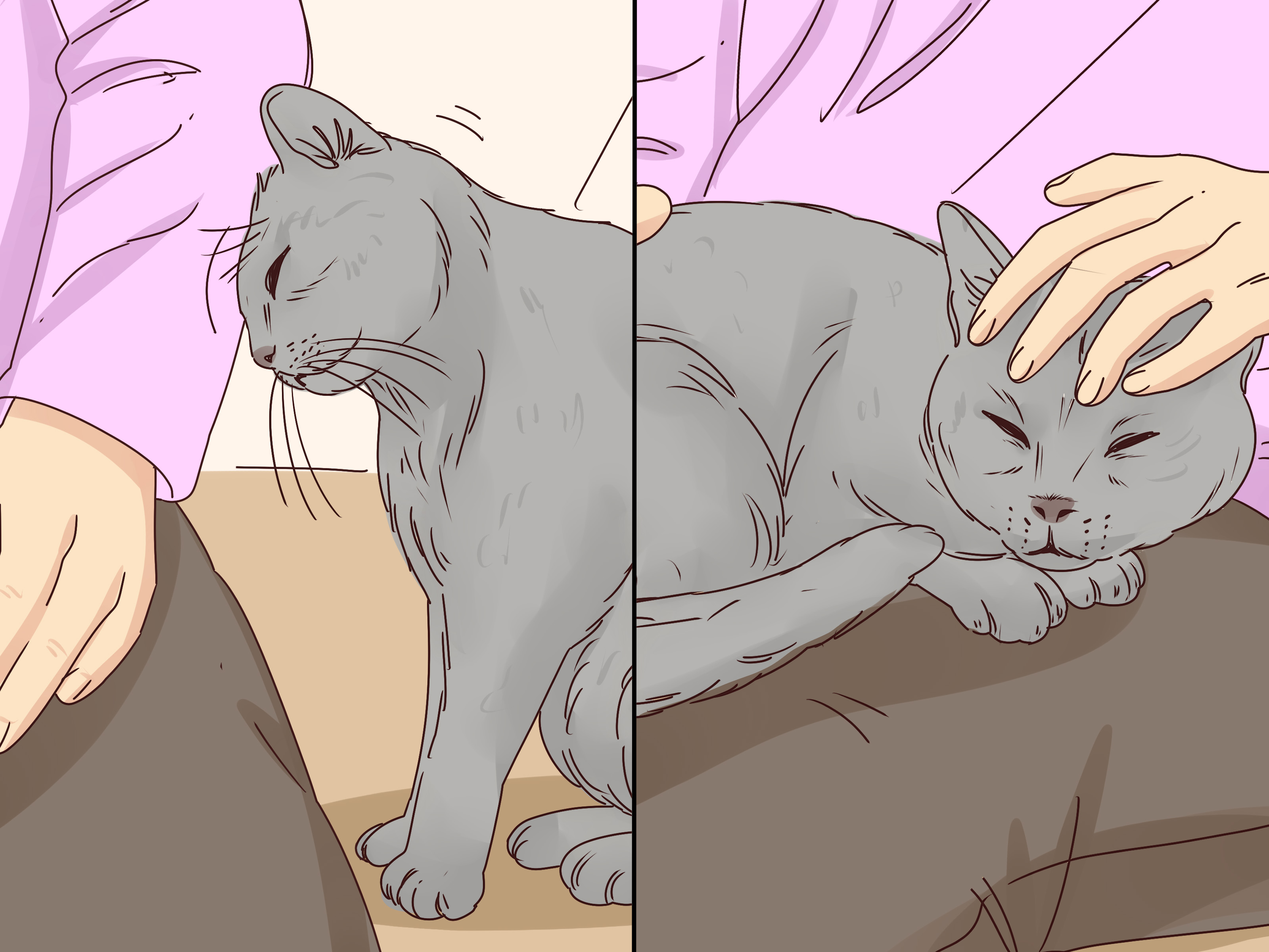 Gambar Berjudul Get A Cat To Stop Meowing Step - Cat Yawns - HD Wallpaper 
