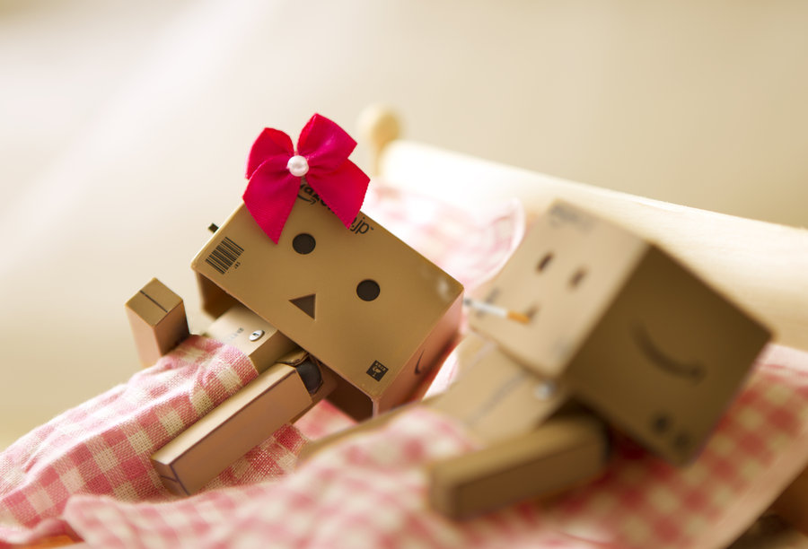Danbo Cute - HD Wallpaper 