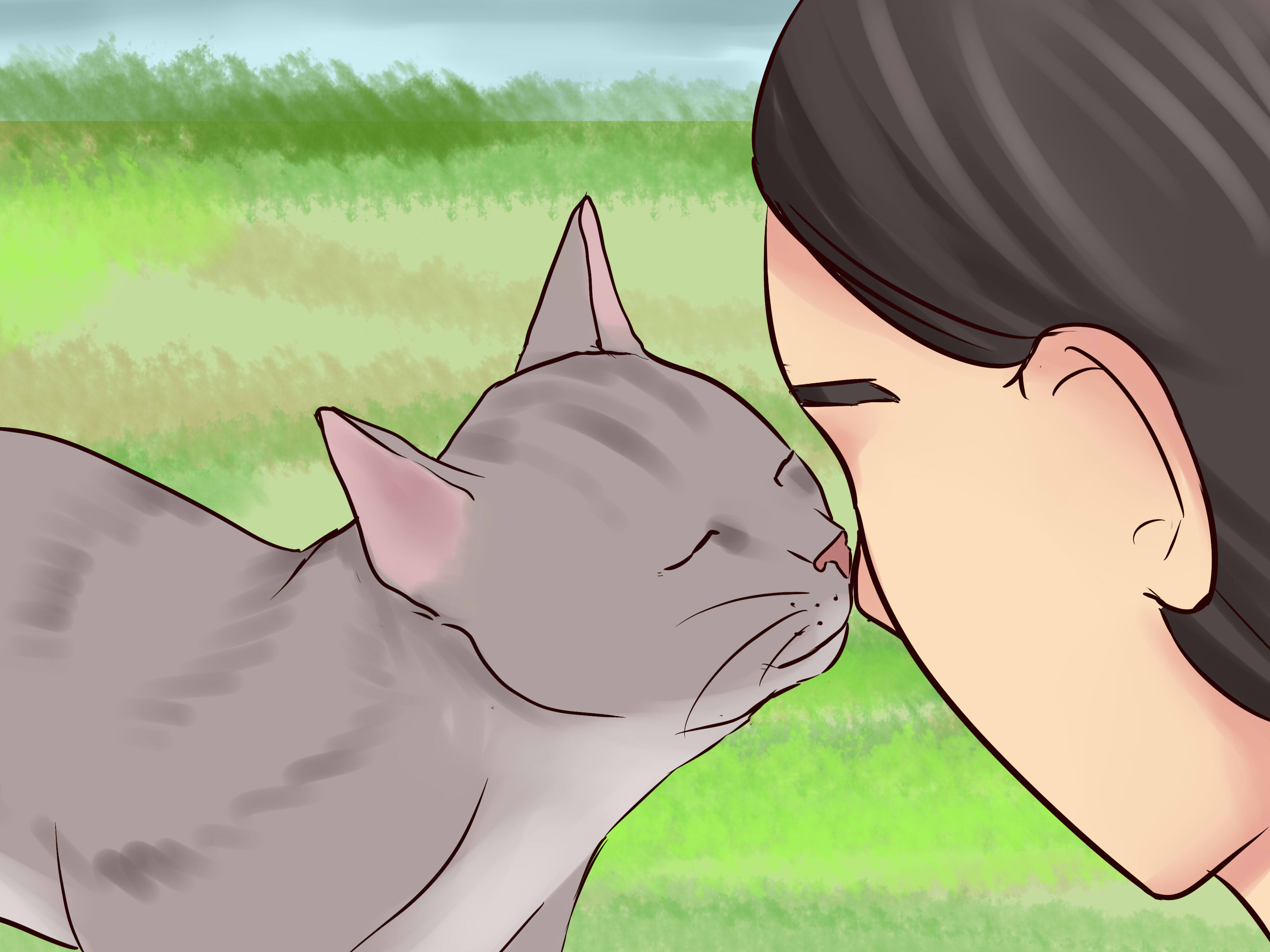 Image Titled Get Your Cat To Know And Love You Step - Cat Love Human Cartoon - HD Wallpaper 
