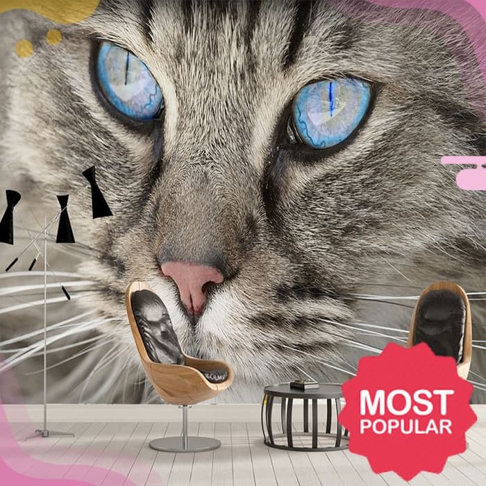 Zoomed In Face Of A Cat 700x700 Wallpaper teahub.io