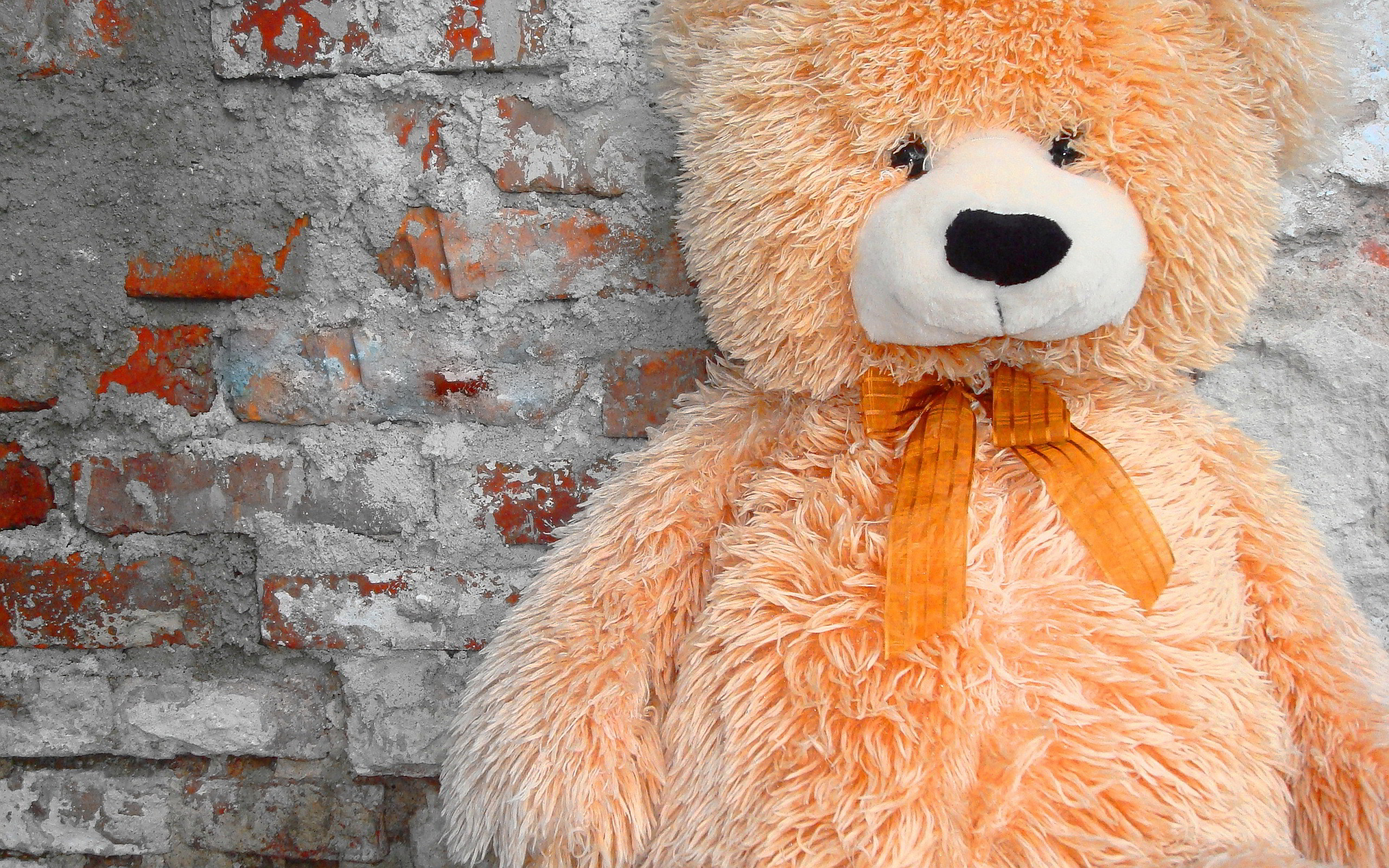 Wallpaper - HD Wallpaper 