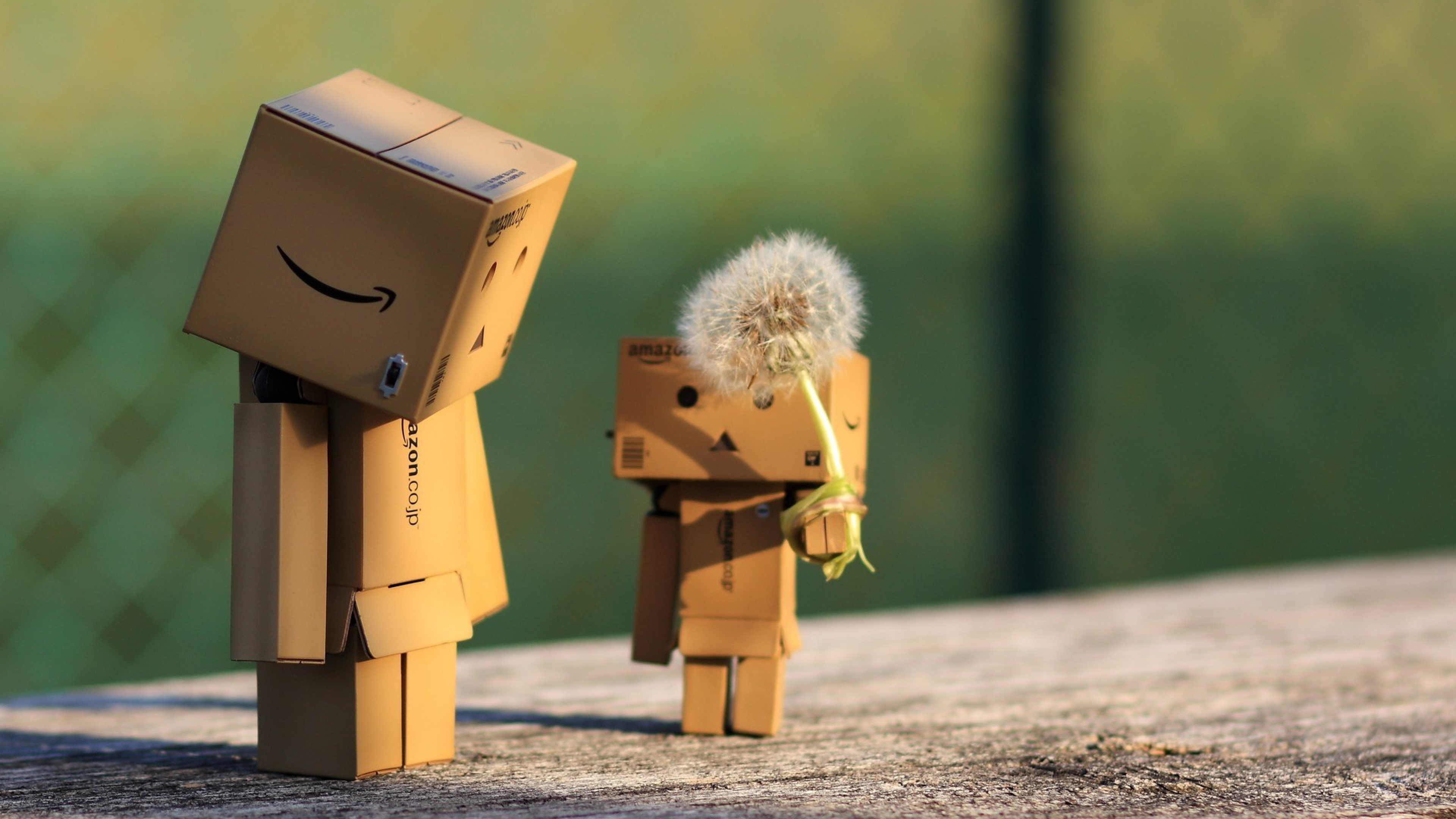 Danbo Wallpaper 4k - HD Wallpaper 