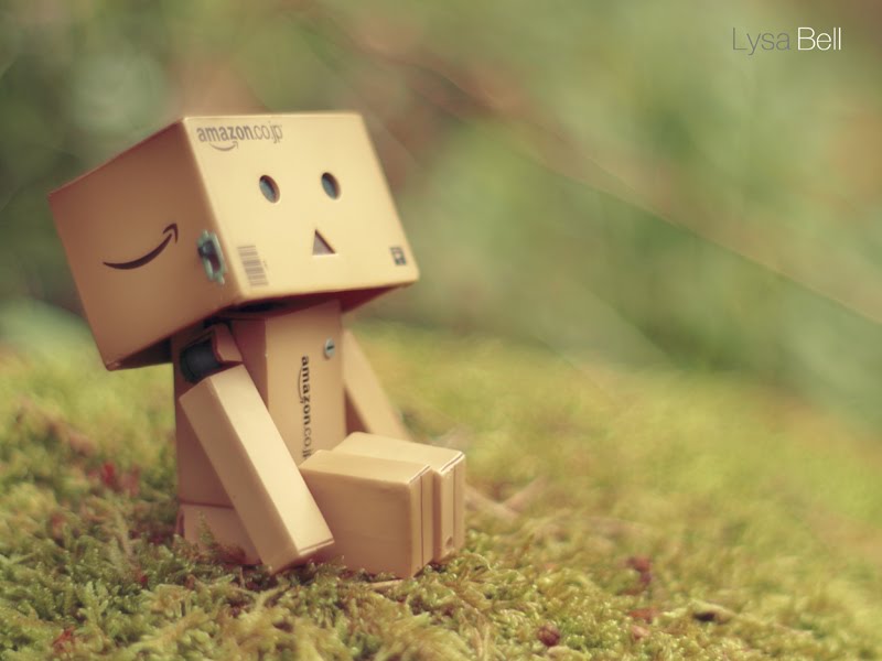 Gambar Wallpaper Boneka - Save Me Lyrics Shayne Ward - HD Wallpaper 