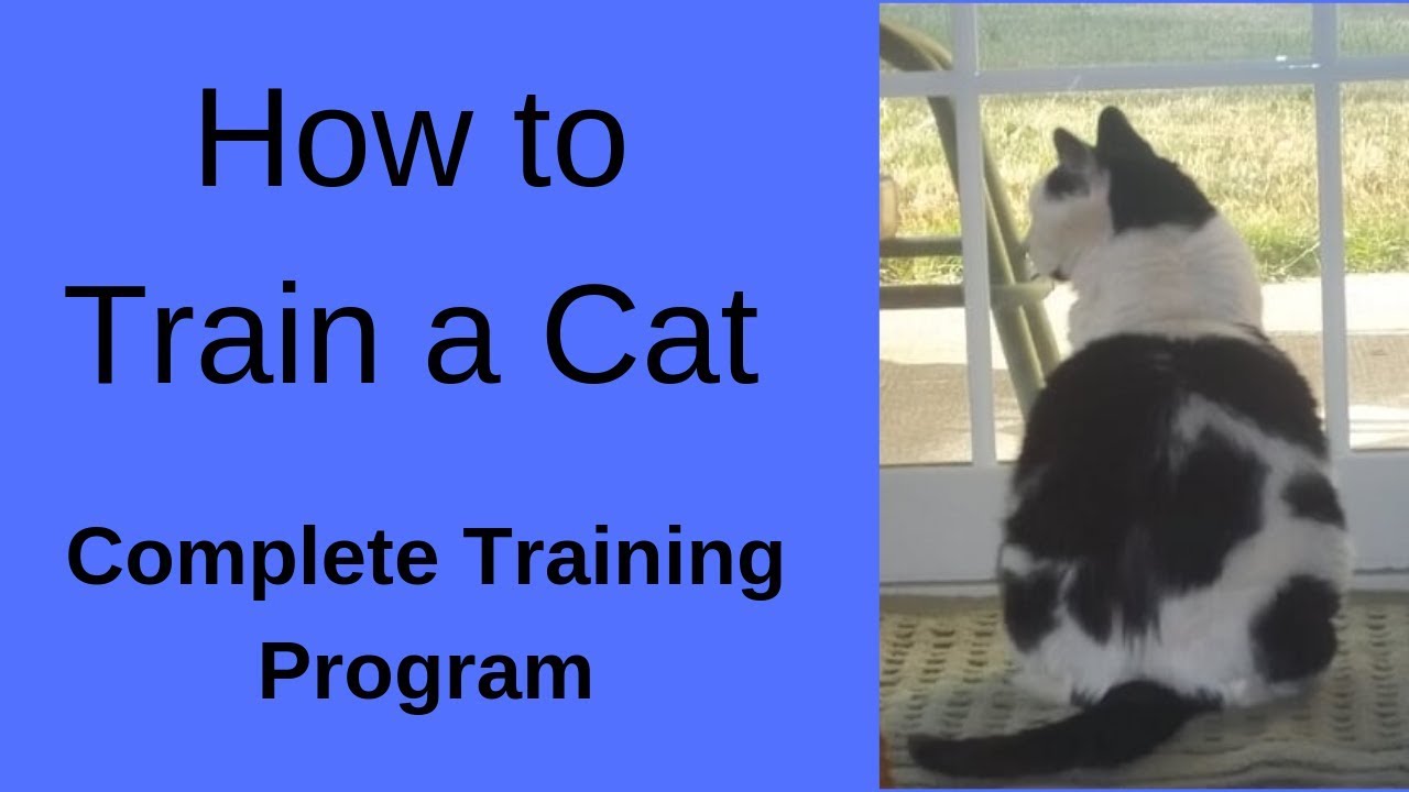 Mahal Parin Kita Guitar Chords - HD Wallpaper 