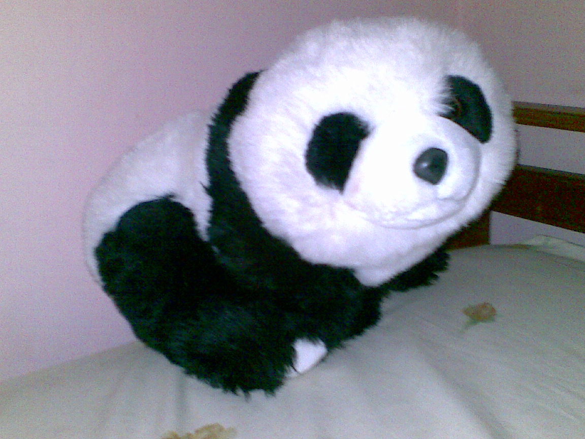 Stuffed Toy - HD Wallpaper 