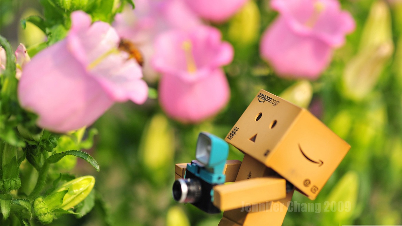 Danbo Flowers Photography-carton With The Film People - Danbo Desktop - HD Wallpaper 