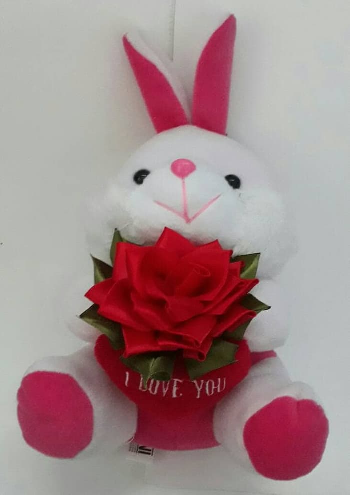 Garden Roses - HD Wallpaper 