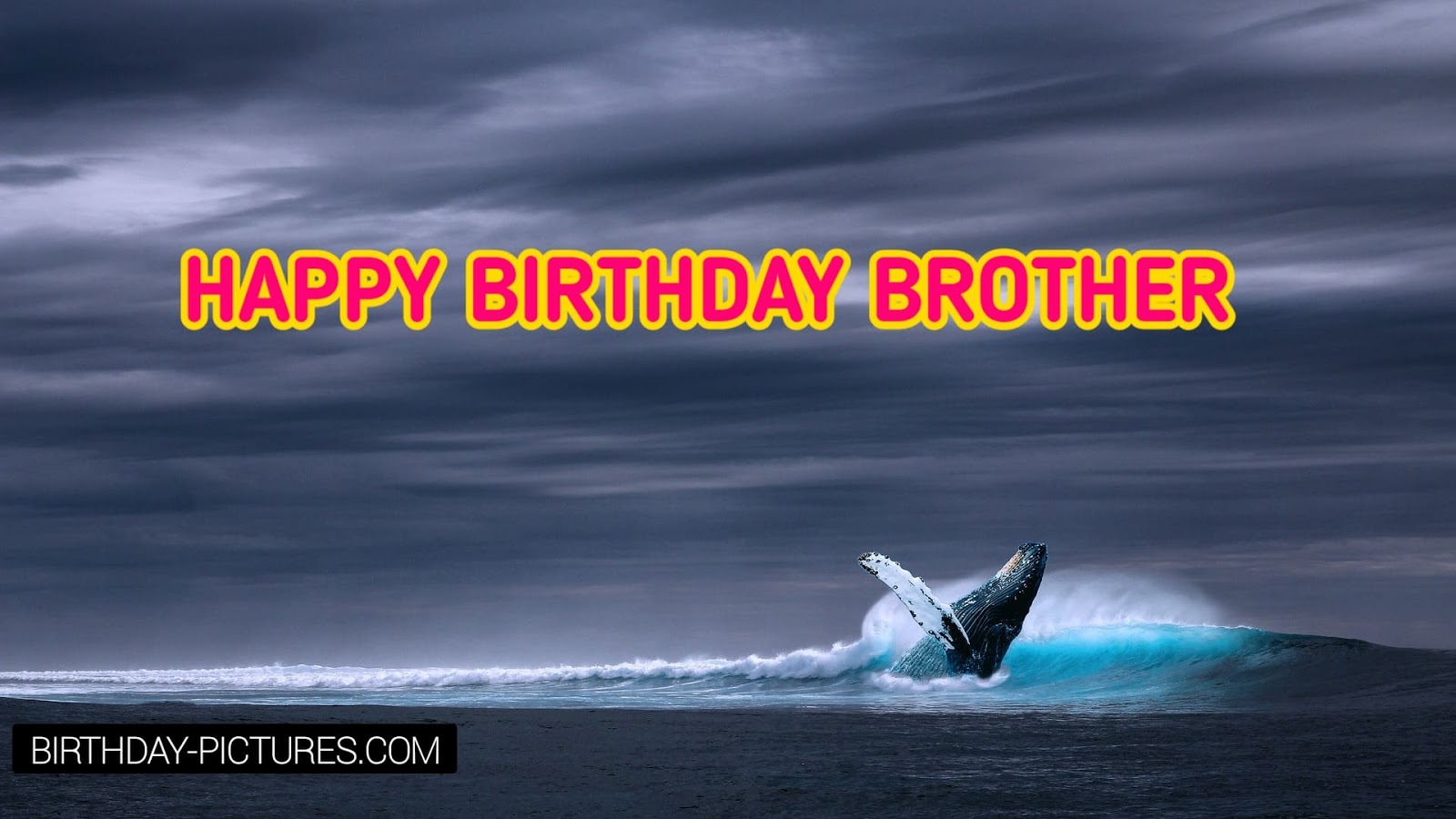 Brother Birthday Wallpaper Hd - Humpback Whale - 1600x900 Wallpaper -  