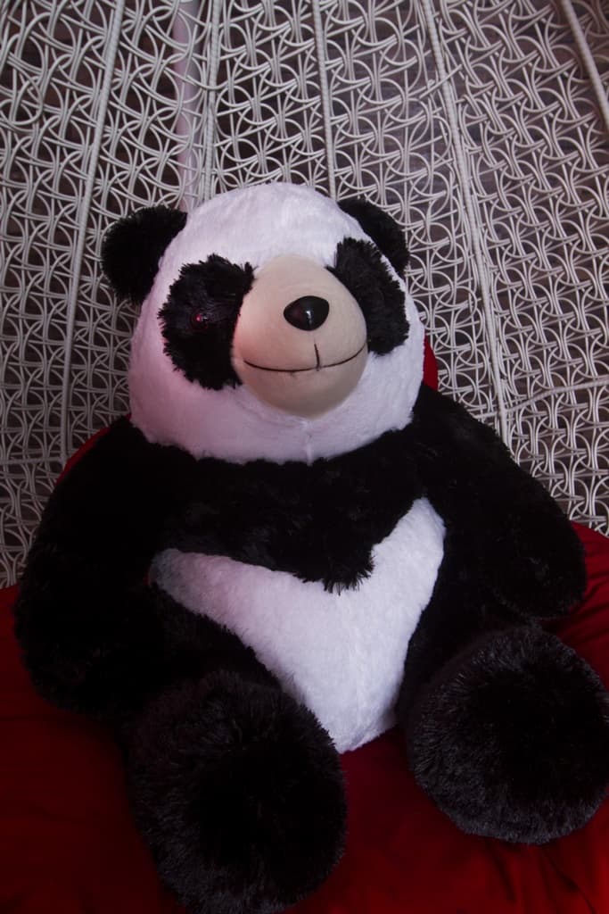 Boneka Panda Besar Lucu - HD Wallpaper 
