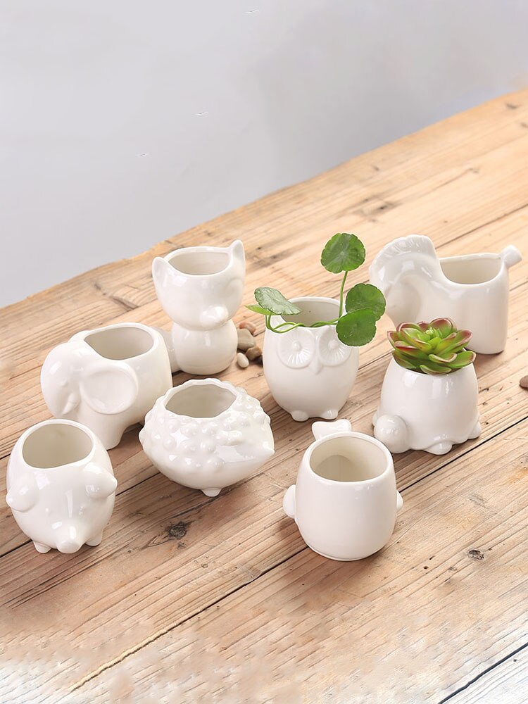 Flowerpot - HD Wallpaper 