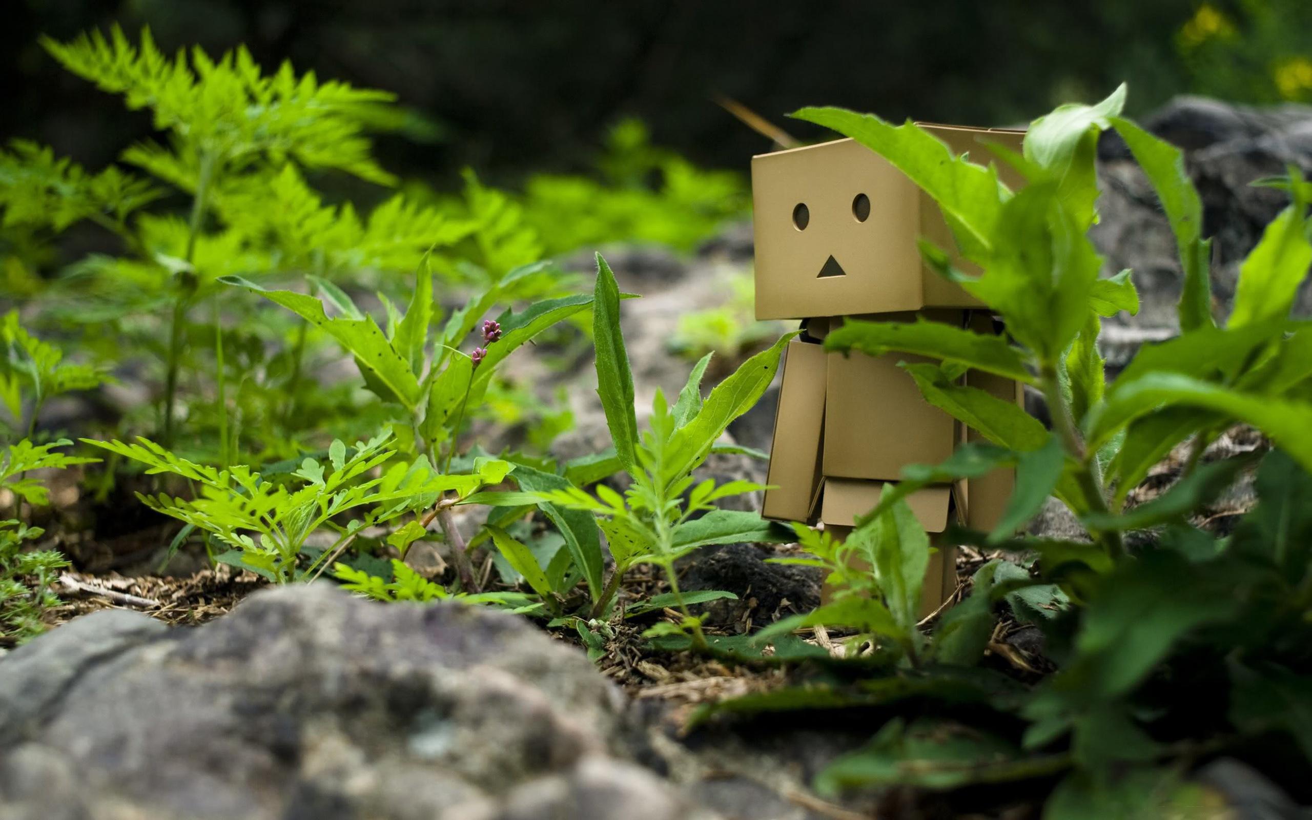 Danbo Wallpaper Hd - HD Wallpaper 