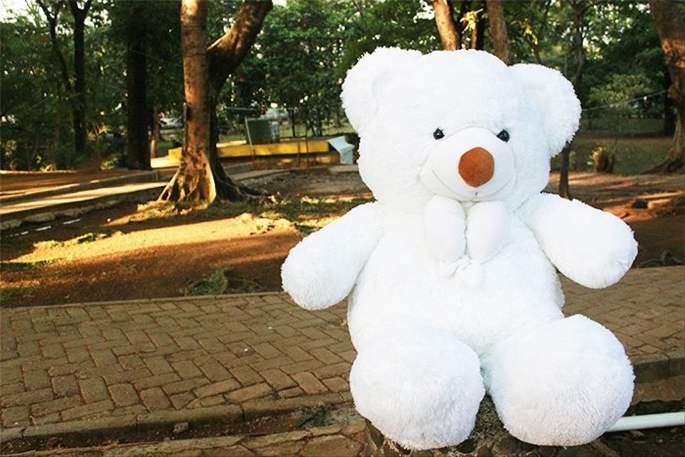 Boneka Cantik Banget Halus Boneka Beruang Teddy Bear - Boneka Teddy Bear Besar Lucu - HD Wallpaper 