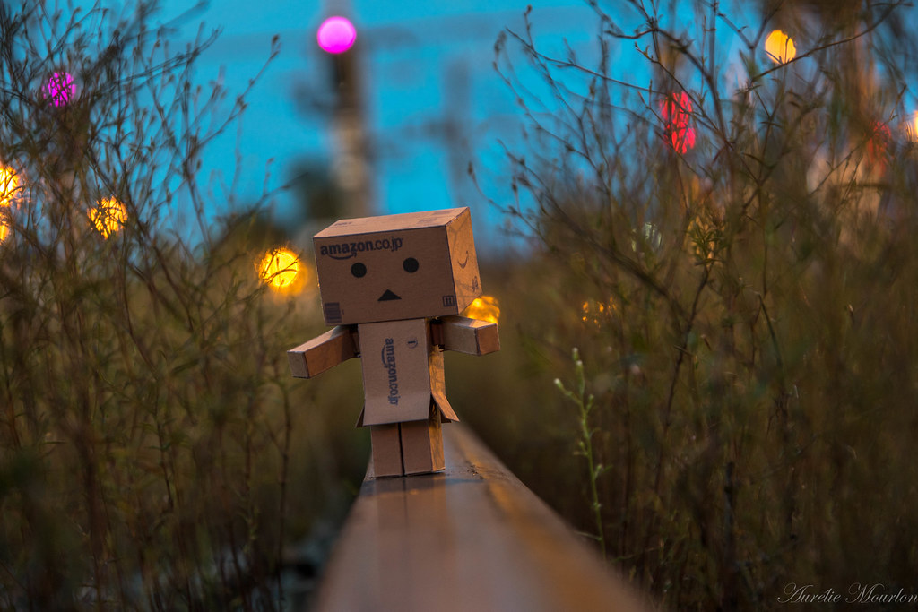 Still Life Photography - HD Wallpaper 