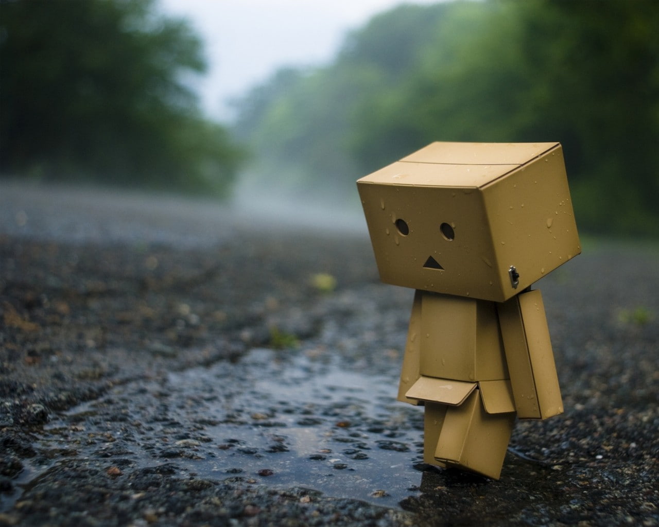 Danboard - HD Wallpaper 