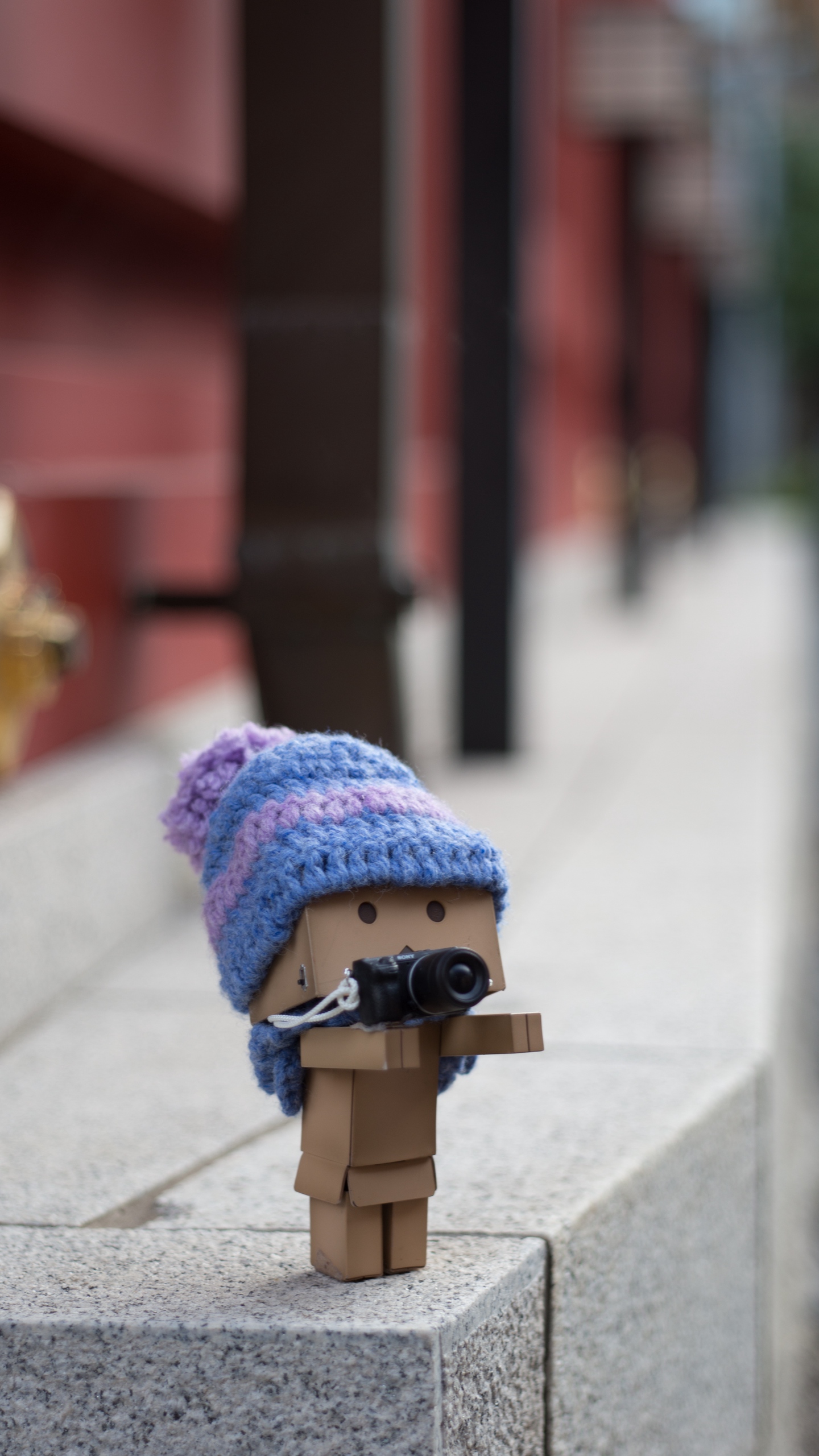 Wallpaper Danbo, Cardboard Robot, Photographer, Camera, - Amazon Box Doll - HD Wallpaper 