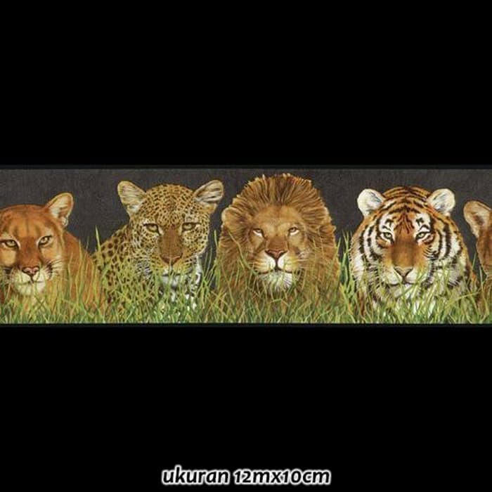 Singa Dan Harimau - HD Wallpaper 