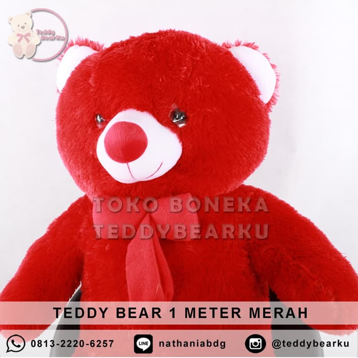 Boneka Beruang Warna Merah - HD Wallpaper 