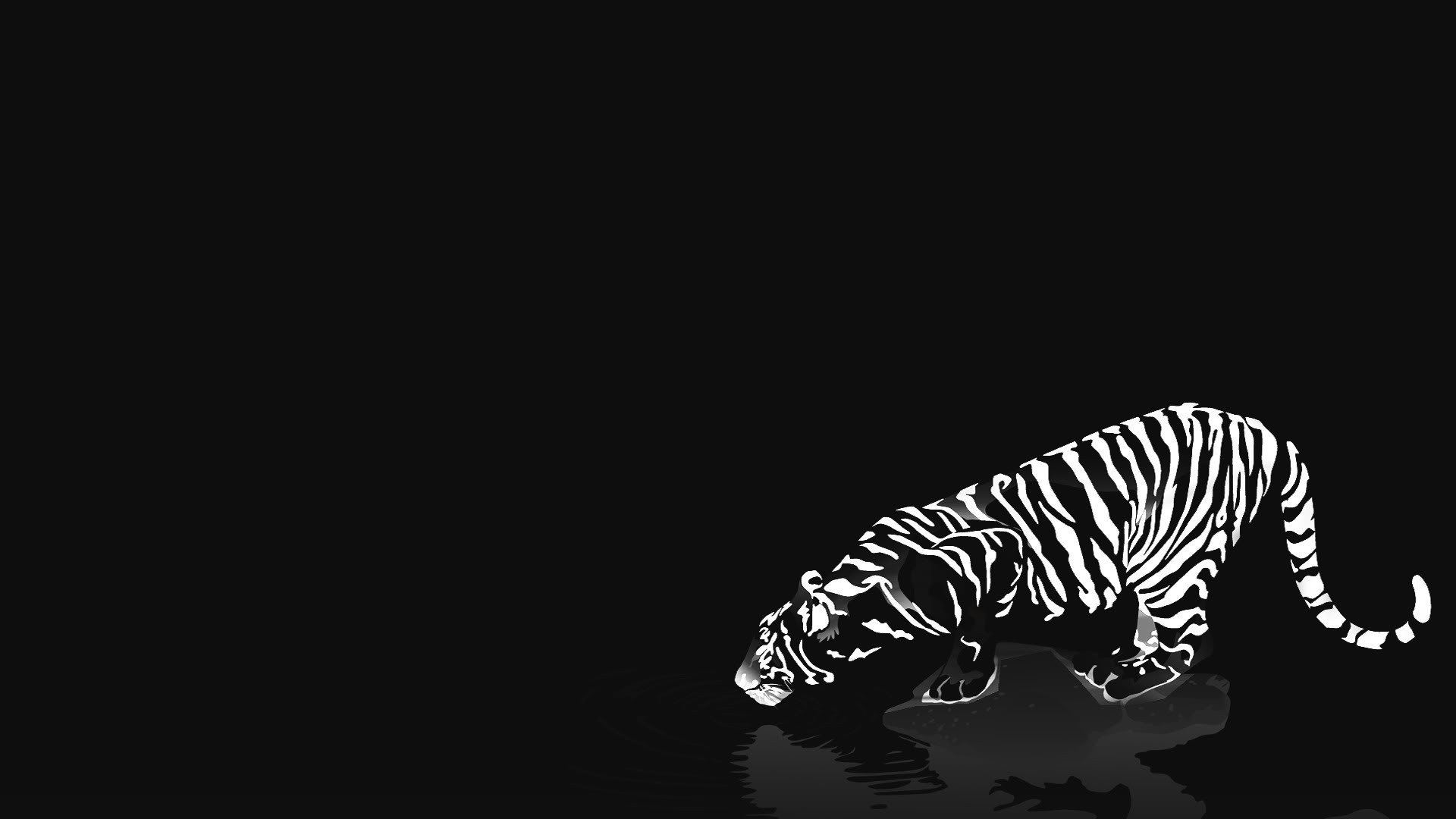 Red Tiger Stripes White Background - HD Wallpaper 