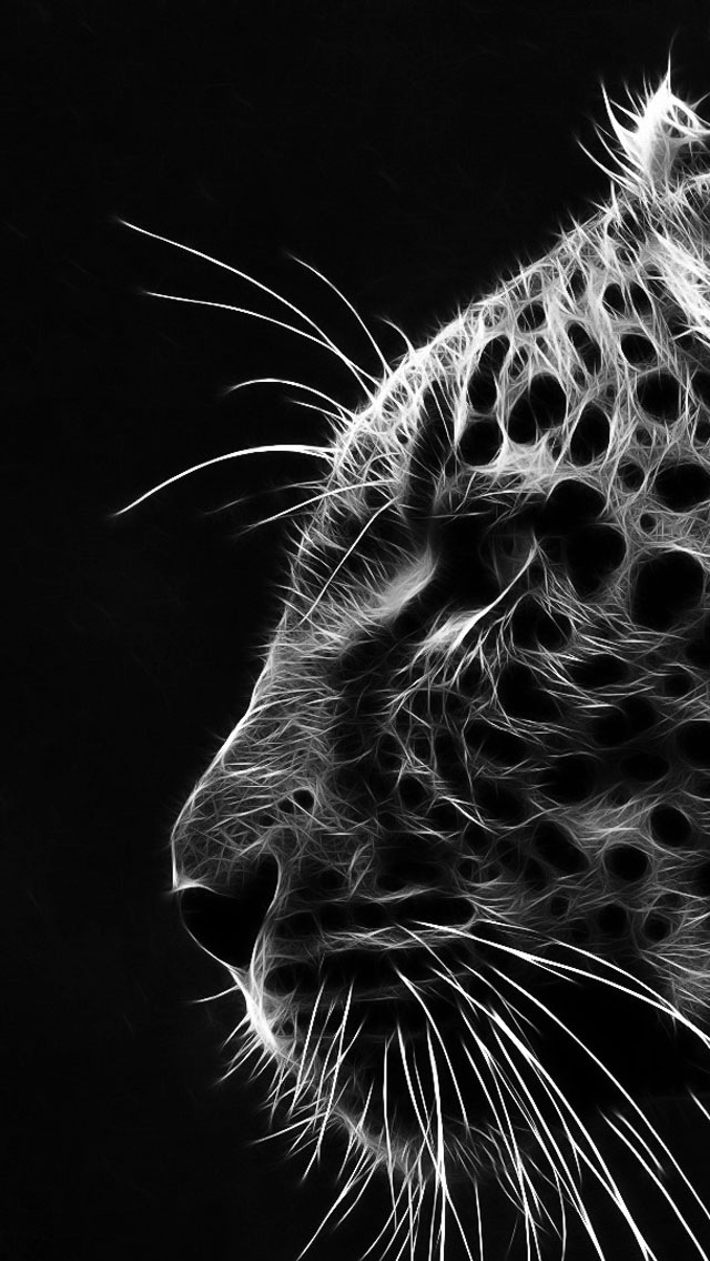 Iphone Hd Tiger Wallpaper Tiger Black And White Hd 640x1136 Wallpaper Teahub Io