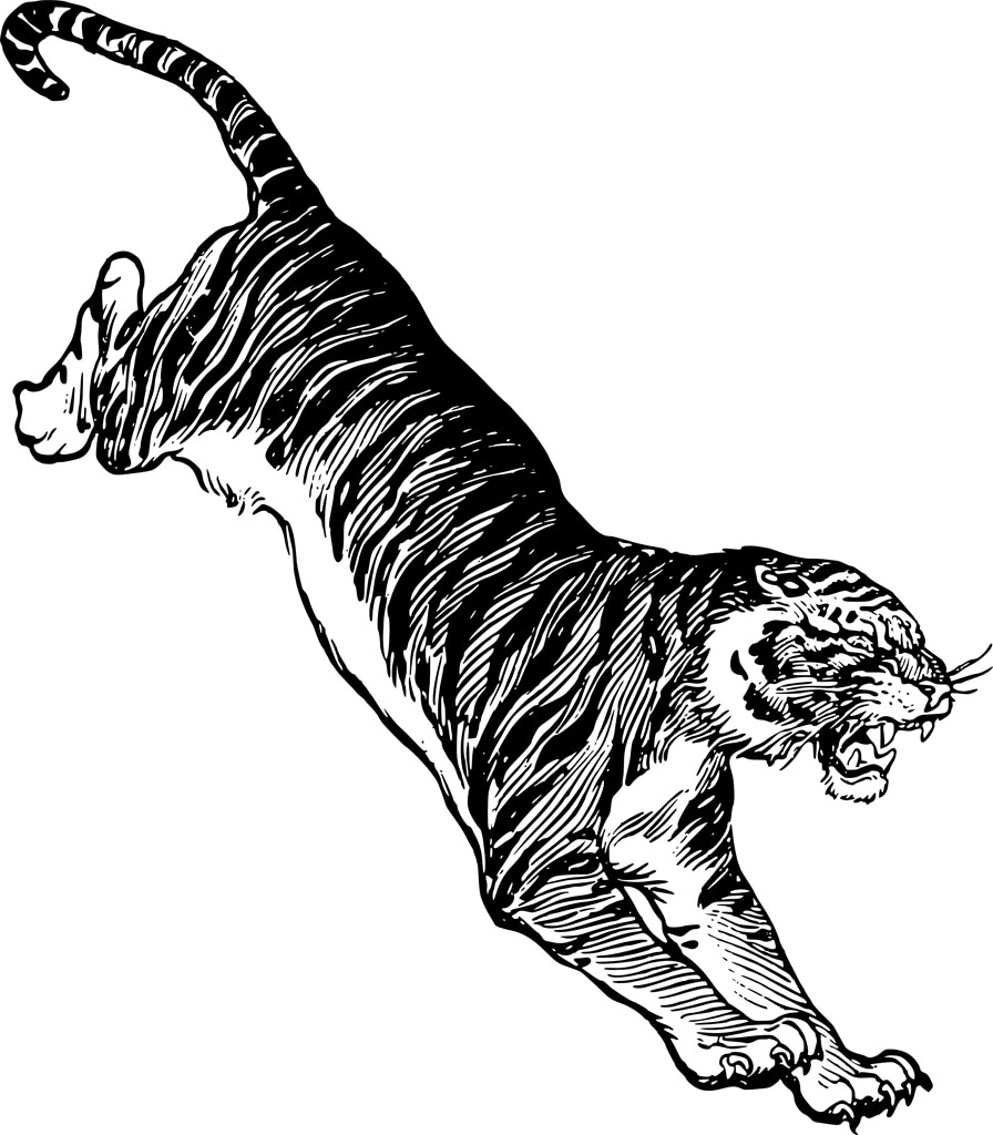 Jumping Tiger Drawing - HD Wallpaper 