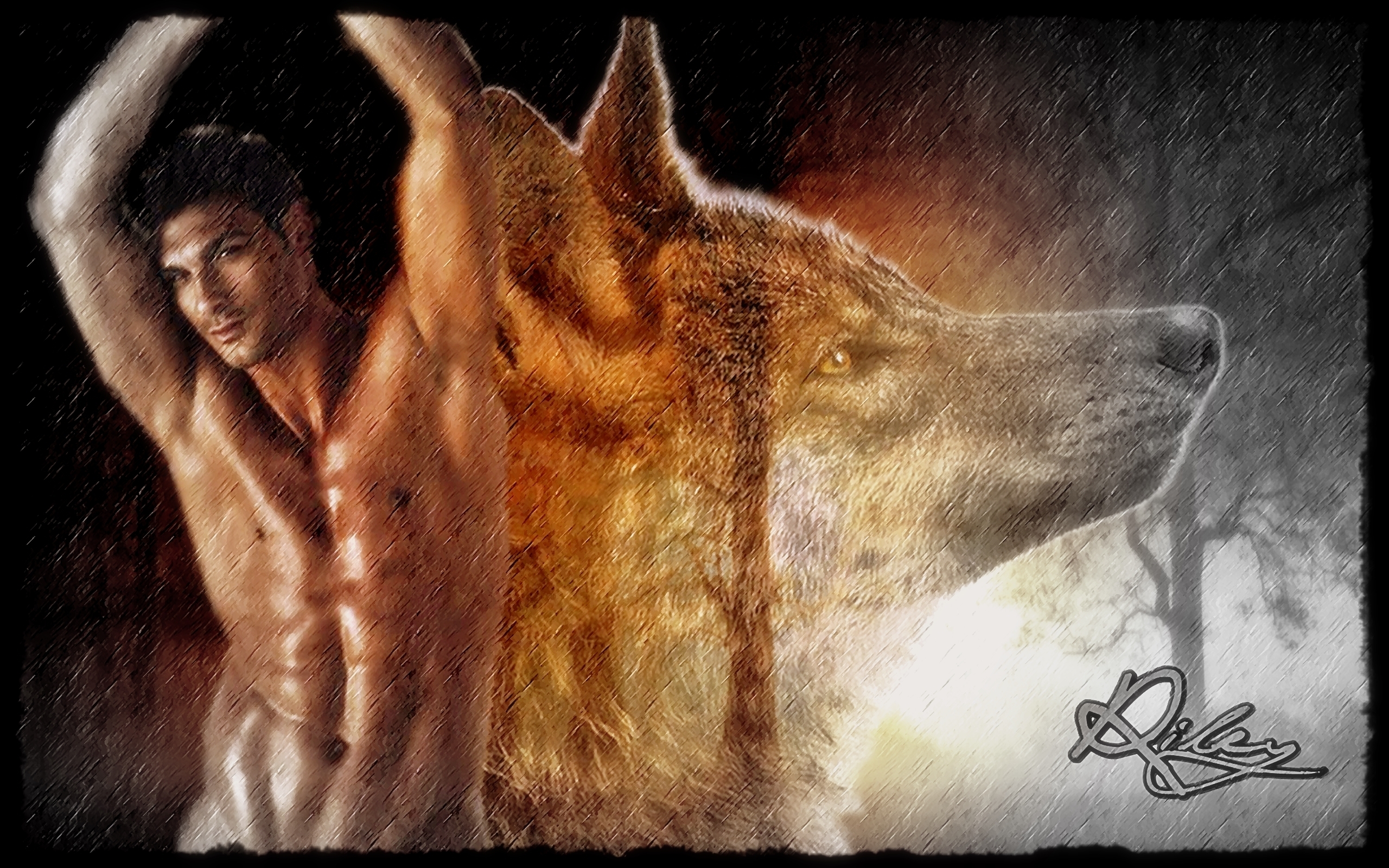 Branded By Fire - Dingo - HD Wallpaper 