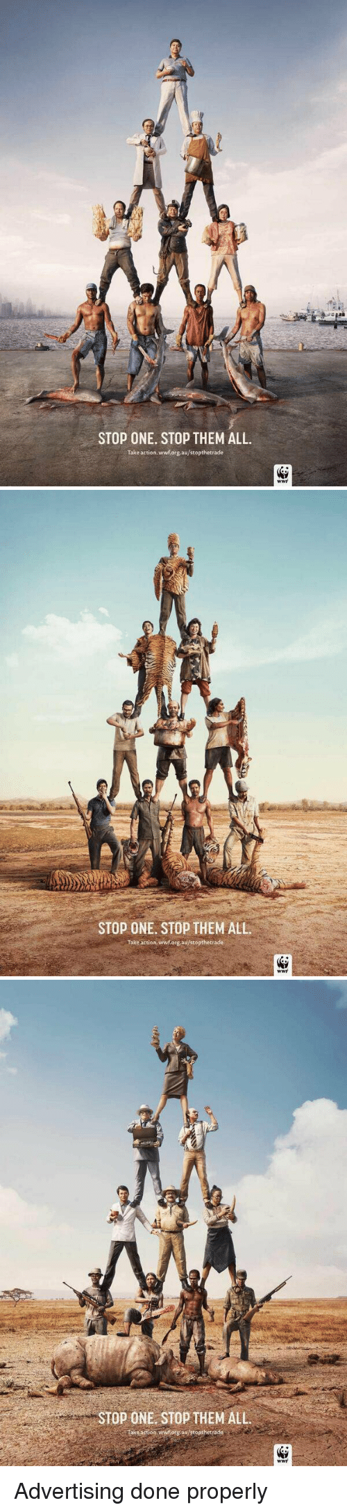 Clever Animal Rights Poster - HD Wallpaper 