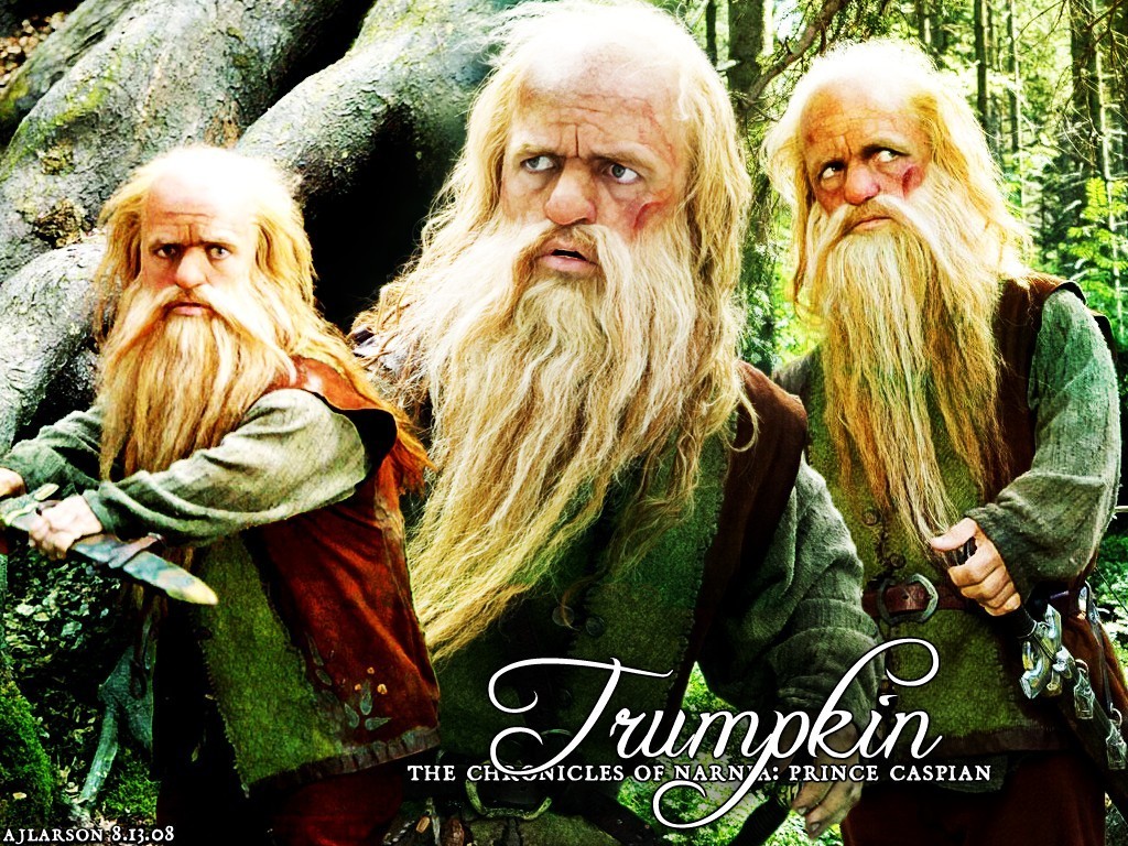 Narnia Characters - Chronicles Of Narnia - HD Wallpaper 