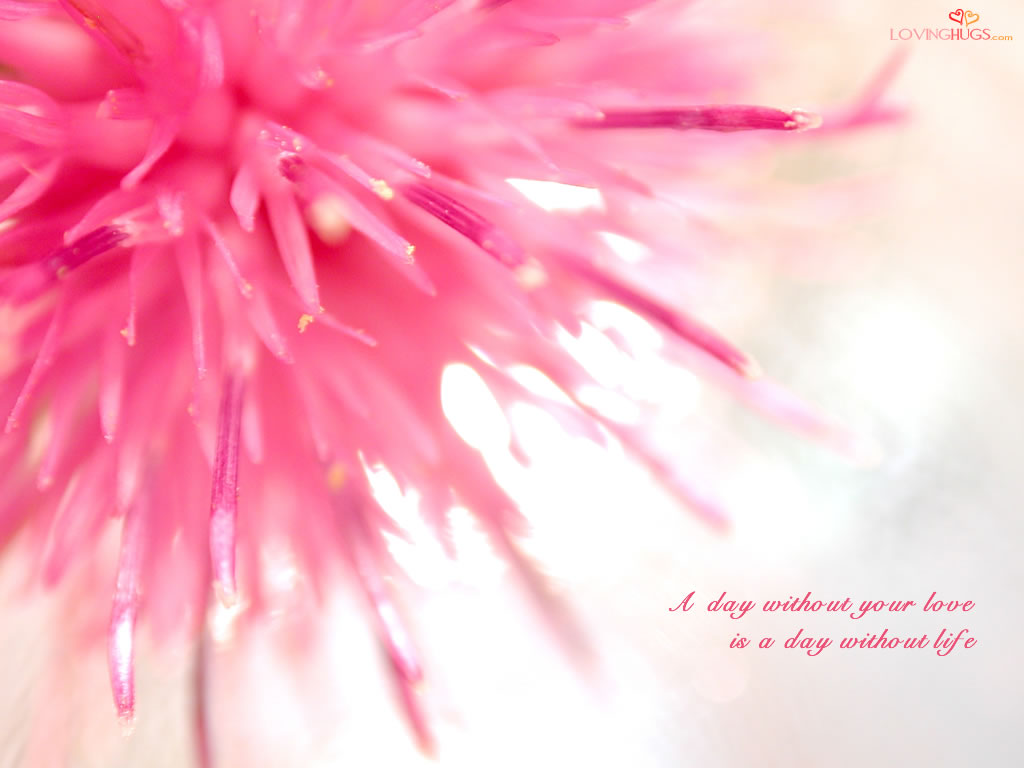 Romantic - HD Wallpaper 