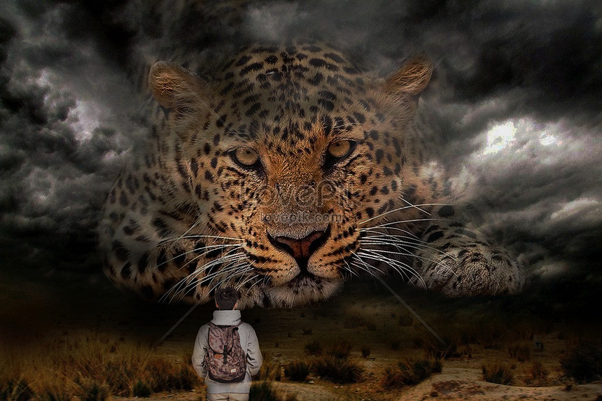 Человек И Леопард Фото - Leopard - HD Wallpaper 