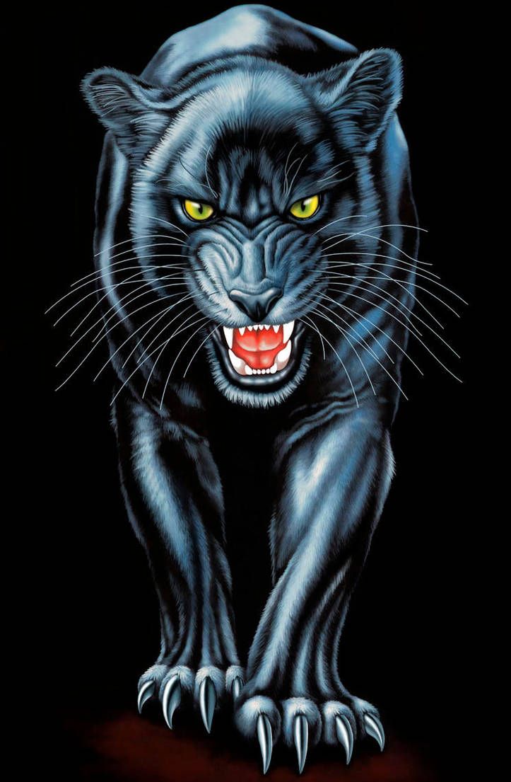 Animal Wallpaper Cool Iphone Black Panther 723x1105 Wallpaper Teahub Io