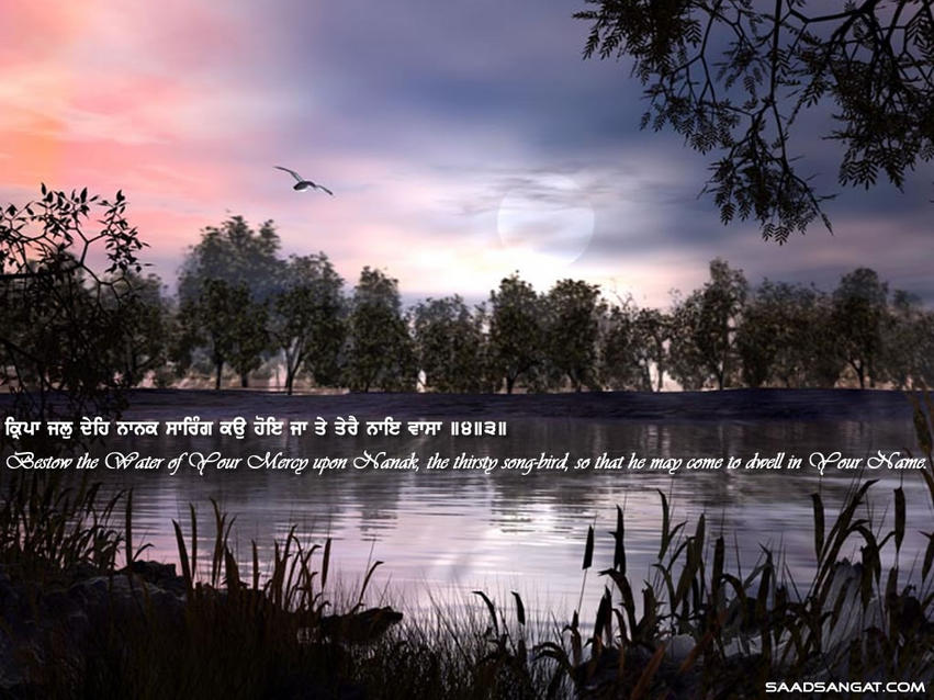 Wallpaper - HD Wallpaper 