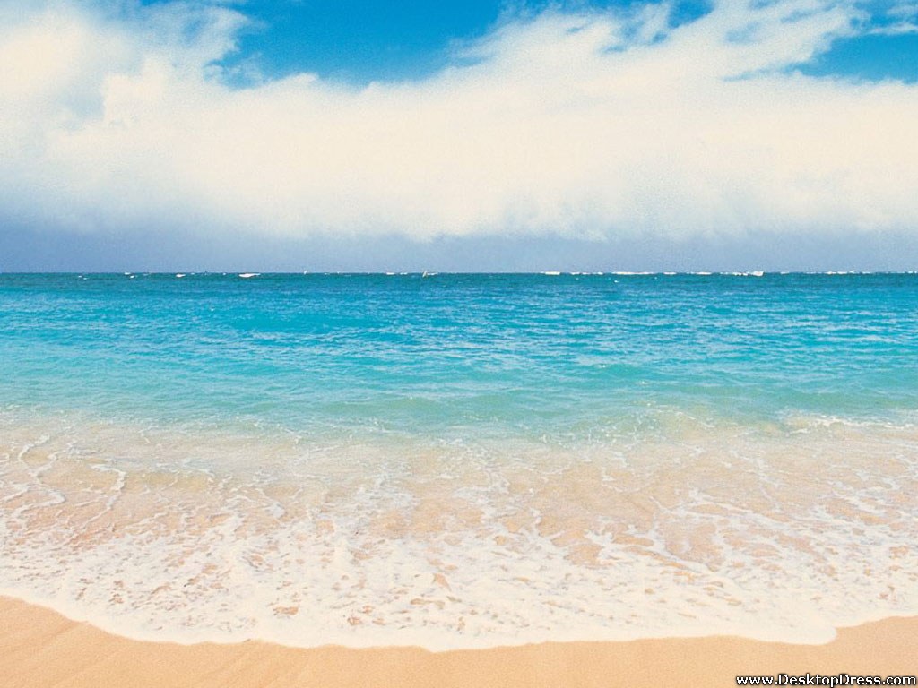Coastal Refr Sher - Coast Background - HD Wallpaper 
