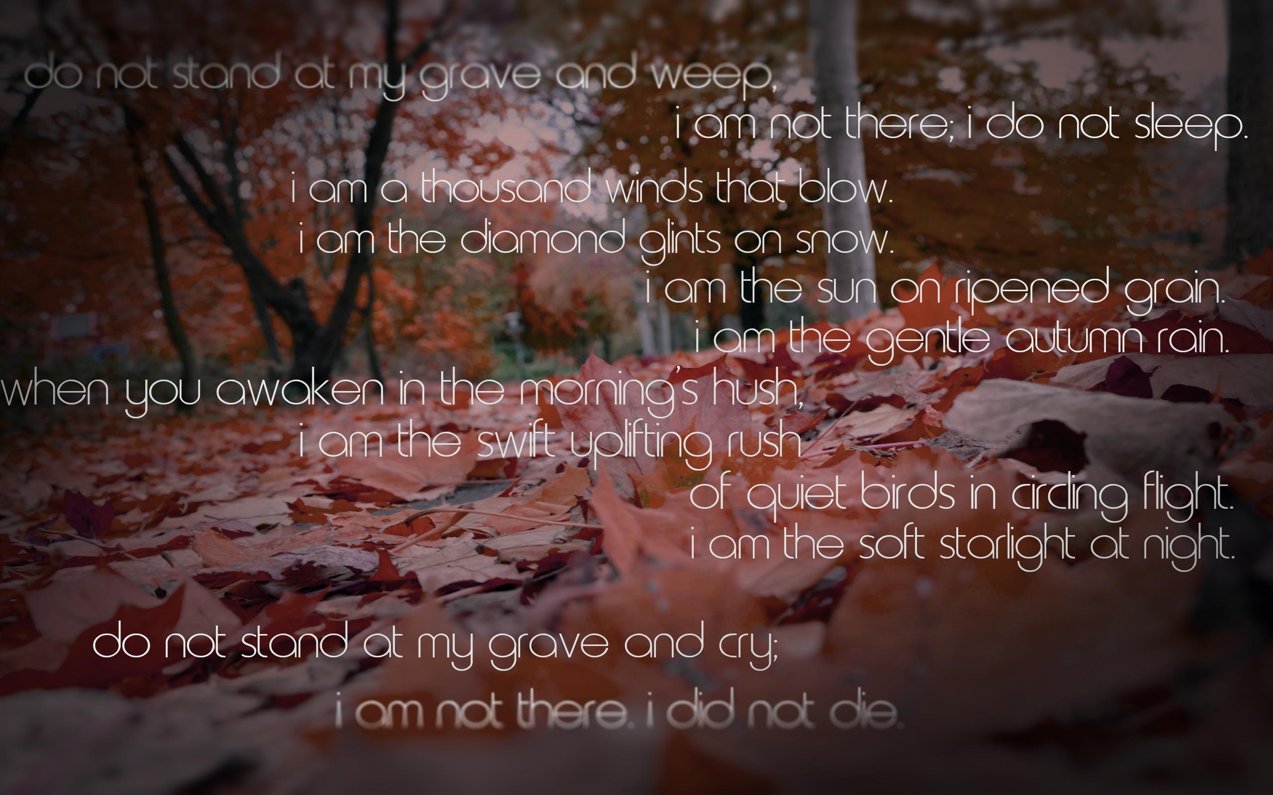 Autumn - HD Wallpaper 
