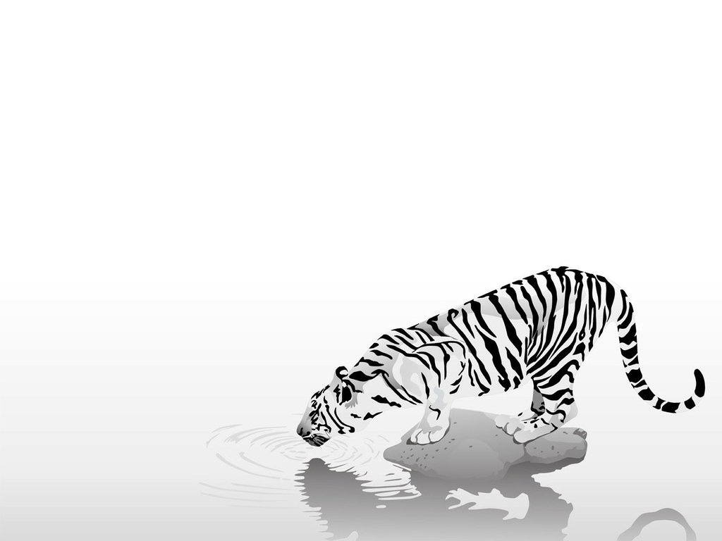 Tiger Drinking Water Drawing - HD Wallpaper 