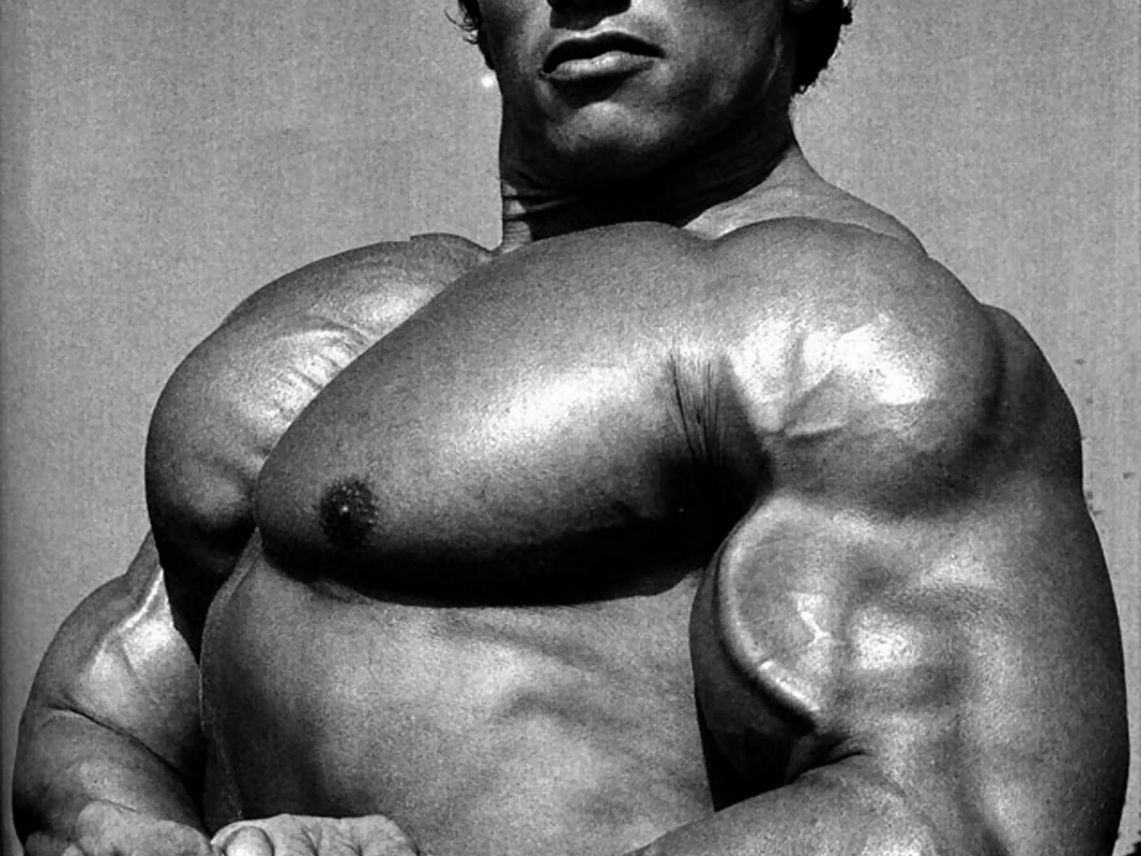 Arnold Schwarzenegger Bodybuilding - HD Wallpaper 