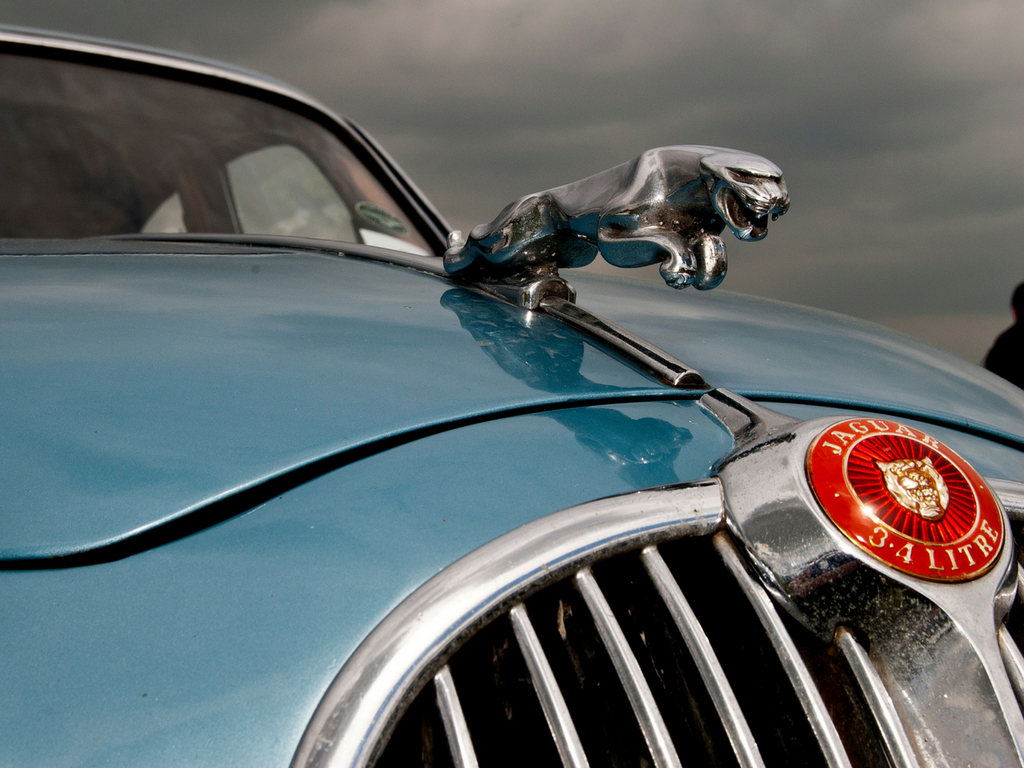 The Classic Grill And Leaping Cat Of A Jaguar Mk1 - Luxury Royal Jaguar Car - HD Wallpaper 