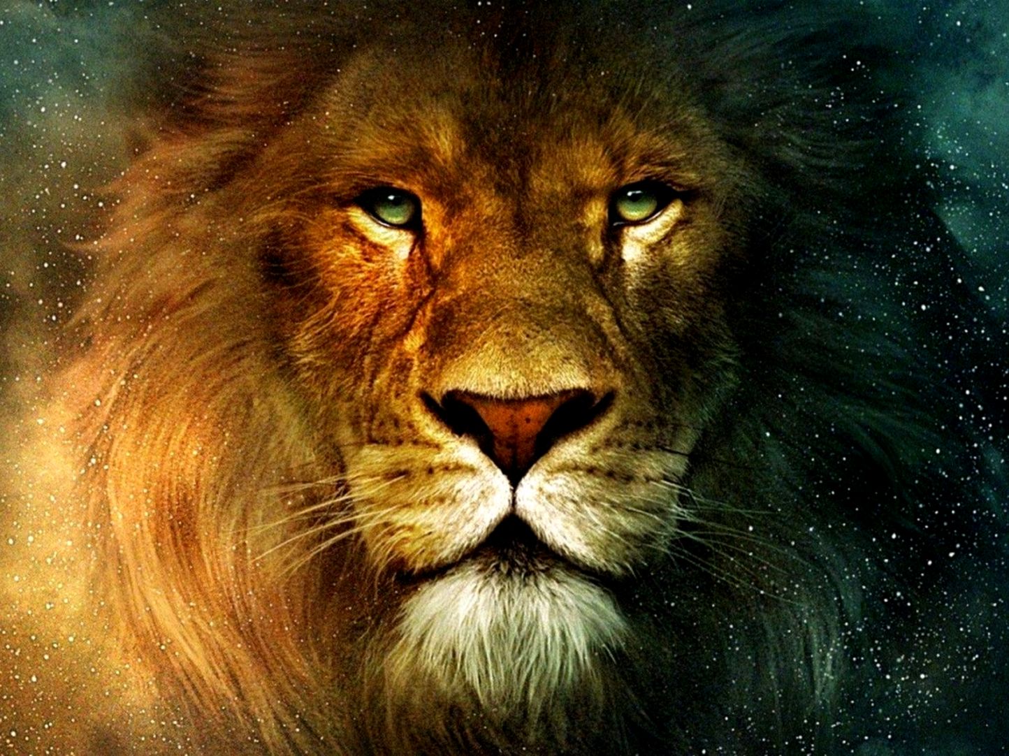 Artwork Lions 3d Chronicles Of Narnia Wallpaper High - Lion Face Hd - HD Wallpaper 