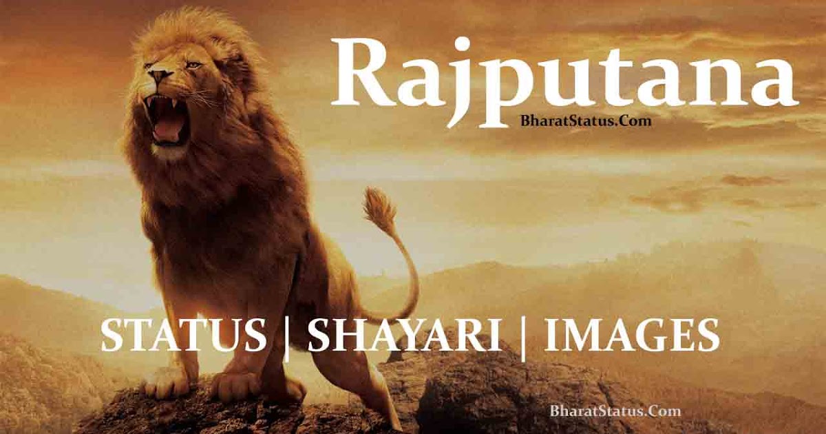 Masai Lion - HD Wallpaper 