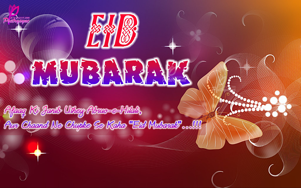 Purple Background Butterfly L - HD Wallpaper 