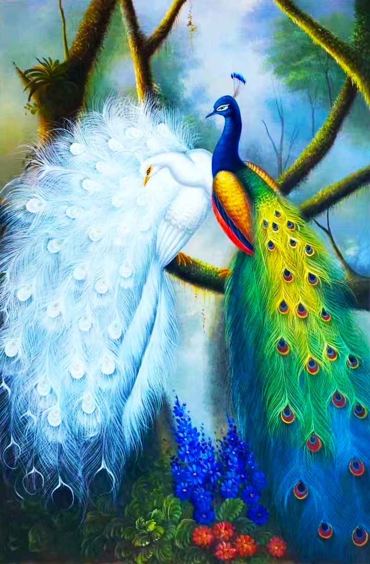 📱mobile Wallpaper - Sharechat - Peafowl - 720x1098 Wallpaper 📱mobile Wallpaper - Sharechat - Peafowl - 720x1098 Wallpaper