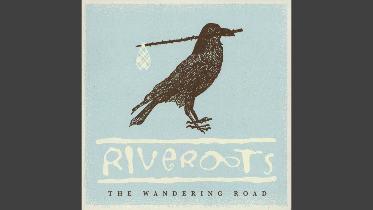 Coraciiformes - HD Wallpaper 