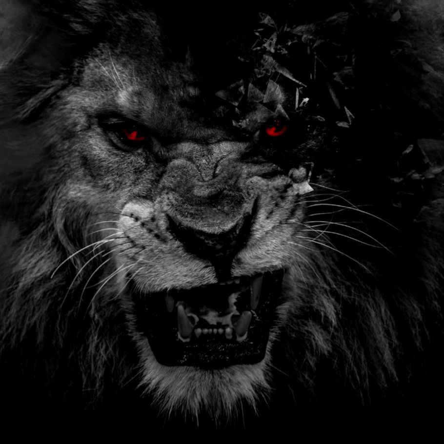 3d Wallpaper Customized 3d Mural Wallpaper Lion Wallpapers - Black Lion White Lion - 910x910 Wallpaper 3d Wallpaper Customized 3d Mural Wallpaper Lion Wallpapers - Black Lion White Lion - 910x910 Wallpaper
