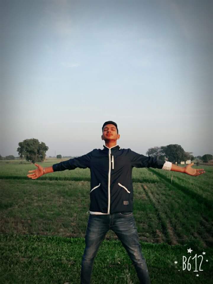 Grass - HD Wallpaper 