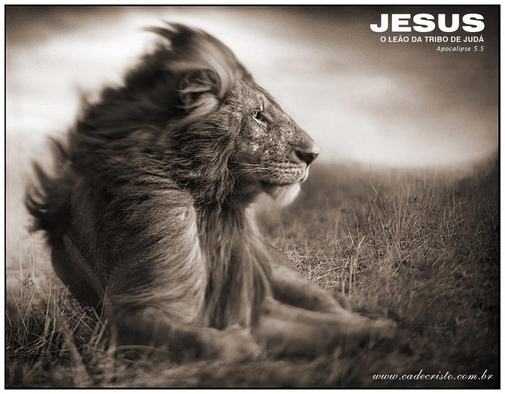 Jesus, Lion Christian Wallpaper Free Download - Nick Brandt - HD Wallpaper 
