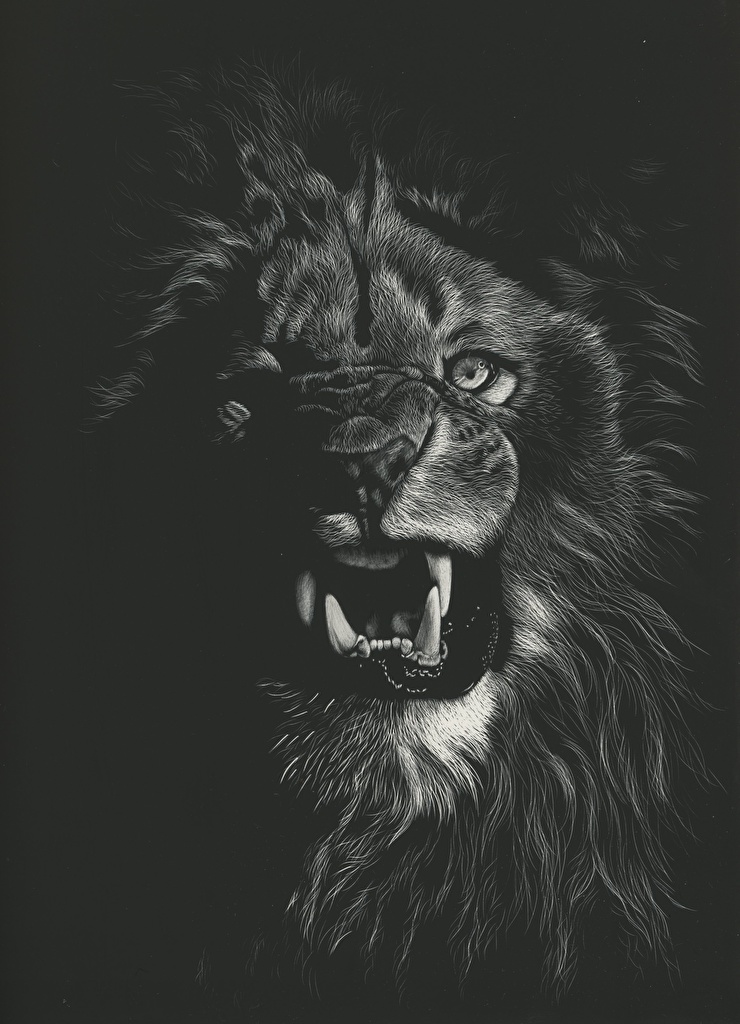 Lions Blanco Y Negro - HD Wallpaper 