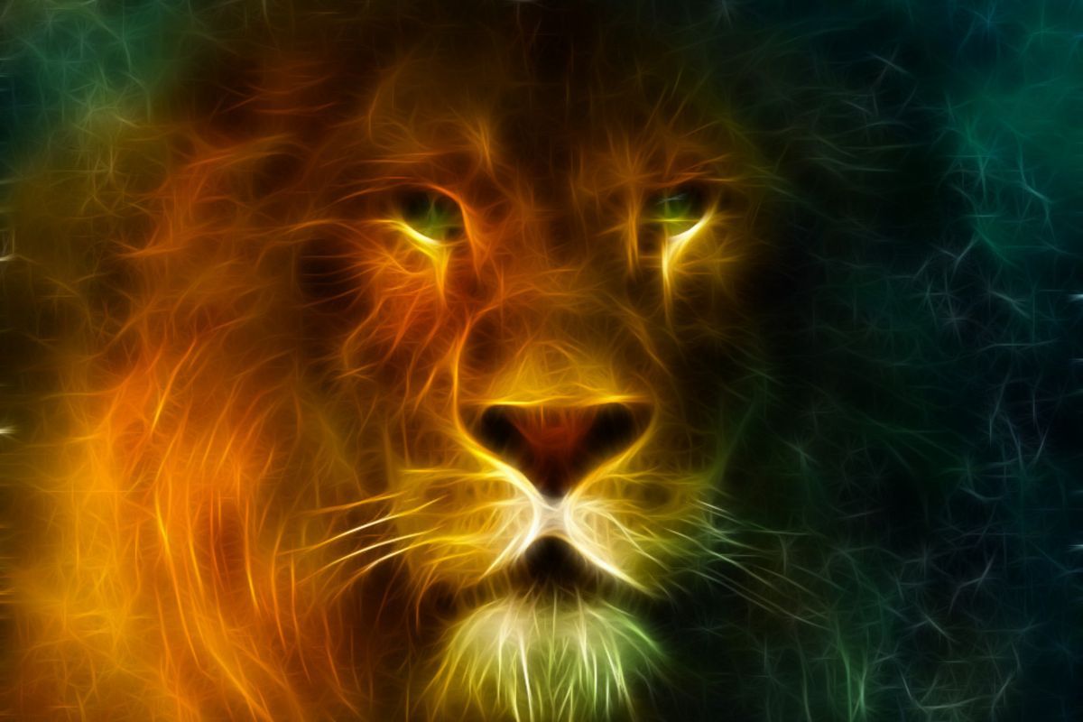 Lion The King Of Jungle - HD Wallpaper 