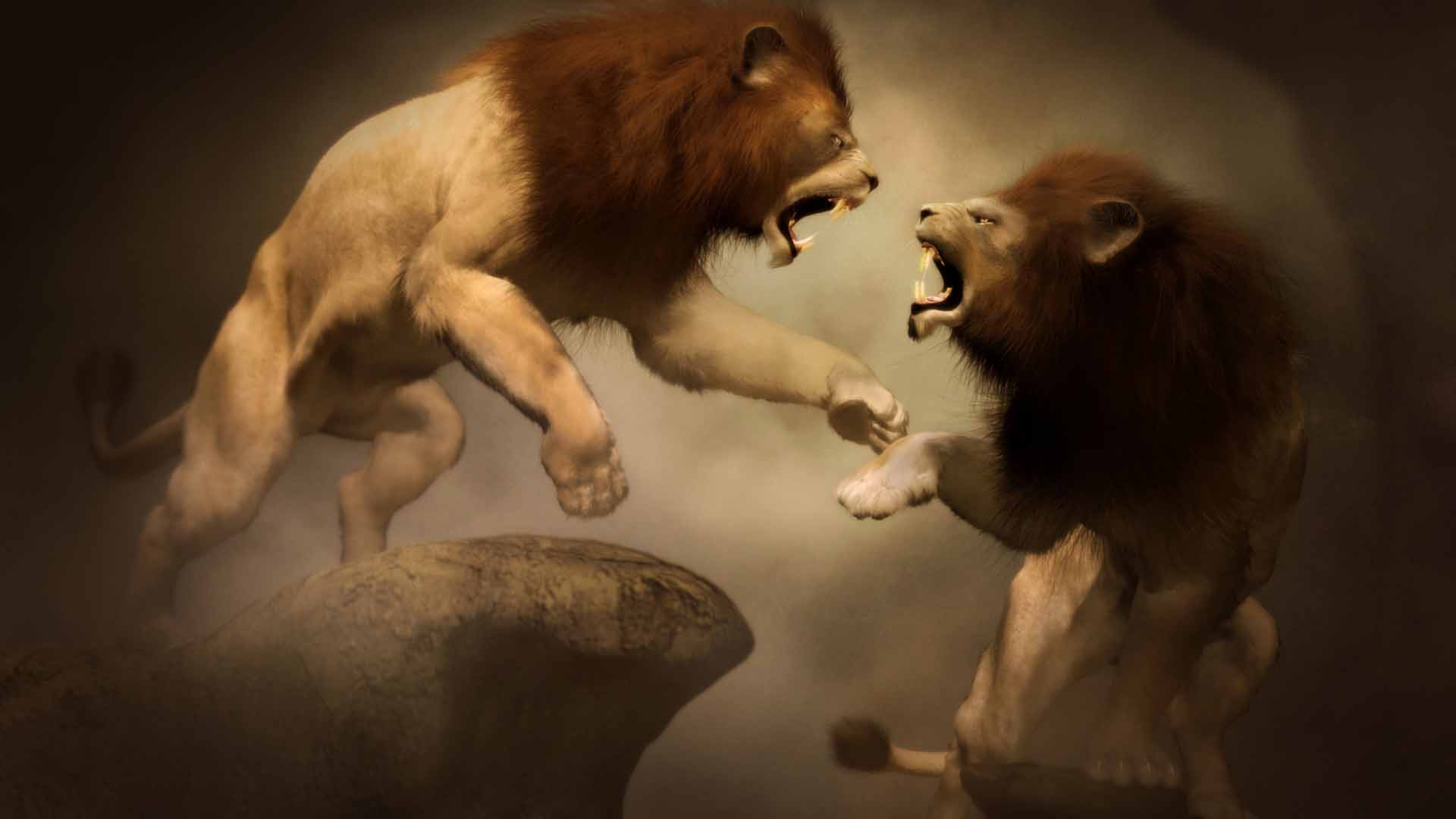 Lions Fighting - Two Lions Fighting Drawing - HD Wallpaper 