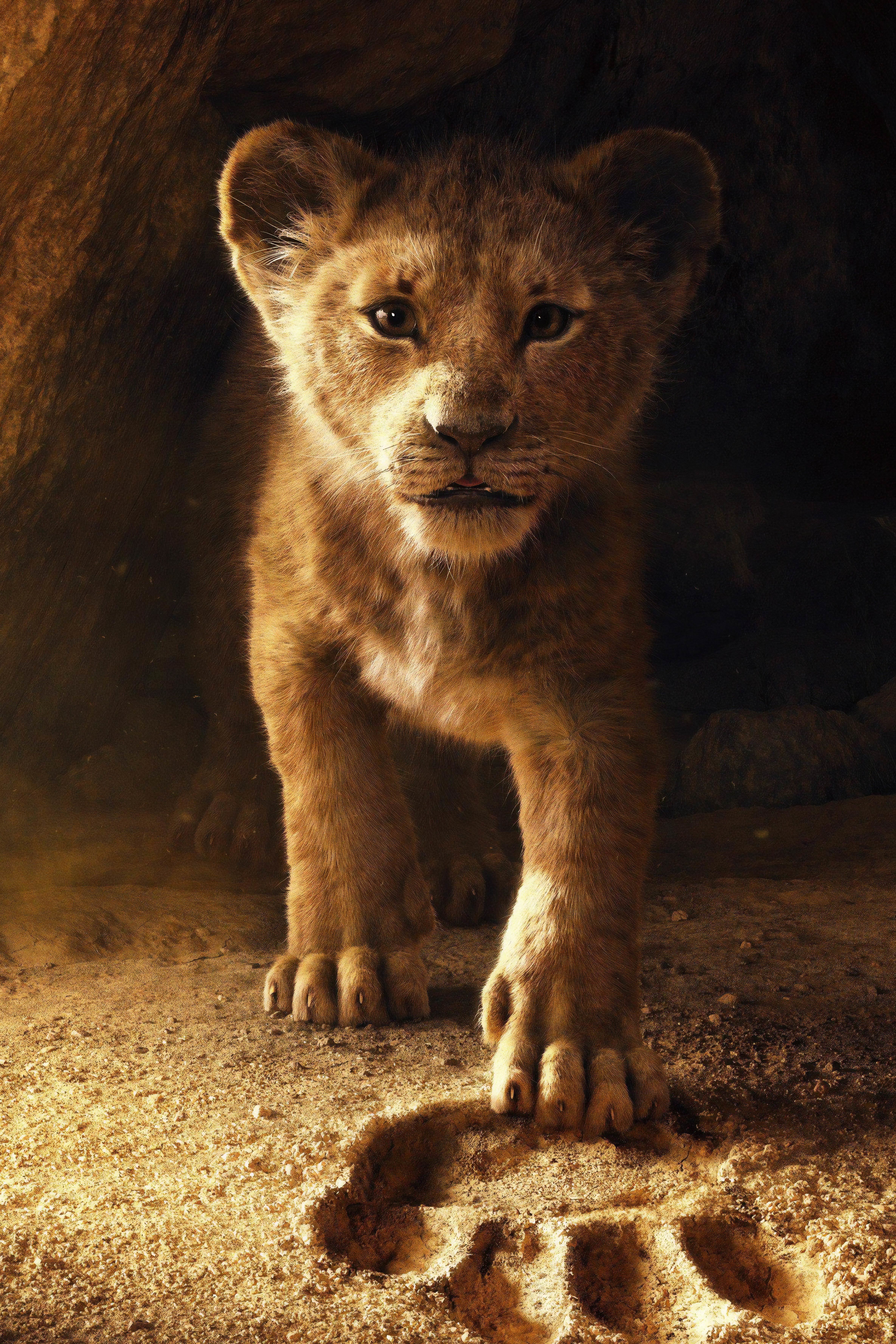 Lion King Wallpaper Iphone - HD Wallpaper 